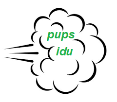 Pupsidu